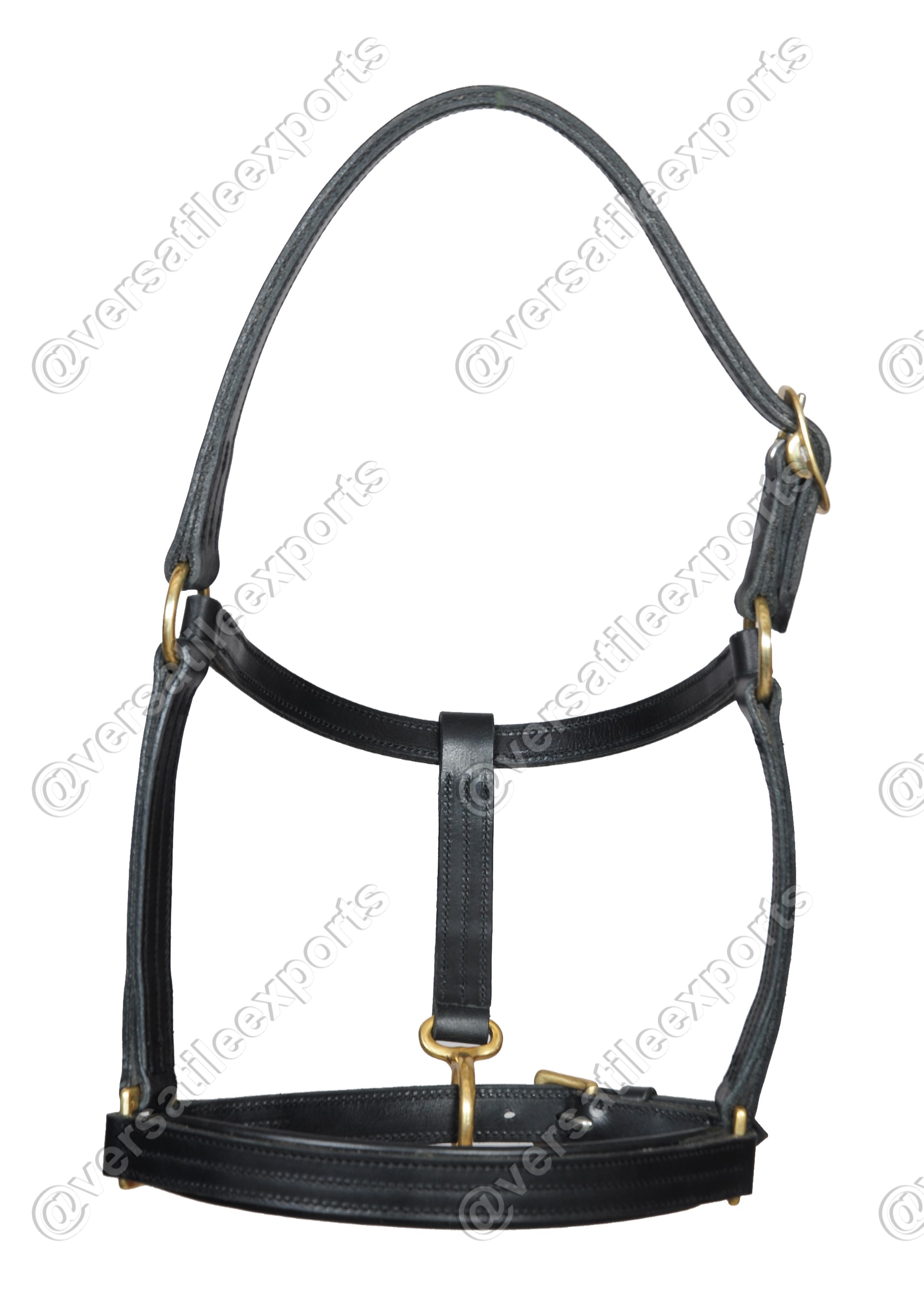 Halter Draft